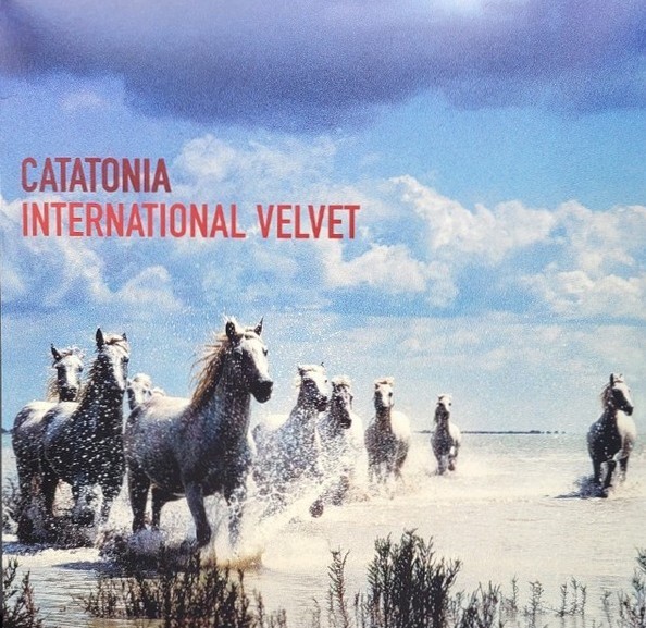 International Velvet