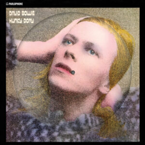 Hunky Dory (Picture disc)