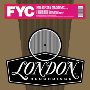 She Drives Me Crazy (Derrick Carter And Seth Troxler Remixes)