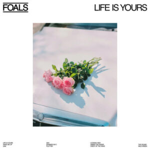 Life is yours