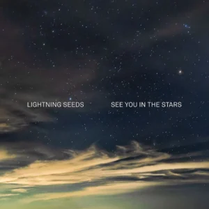See you in the stars (Blue vinyl)