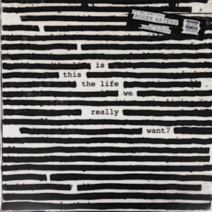 Is this the life we really want?